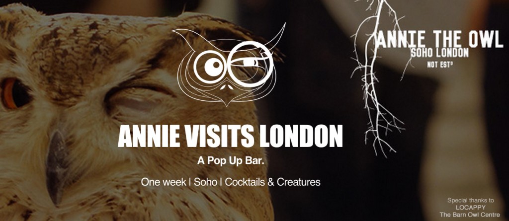 Annie the Owl Pop Up Bar