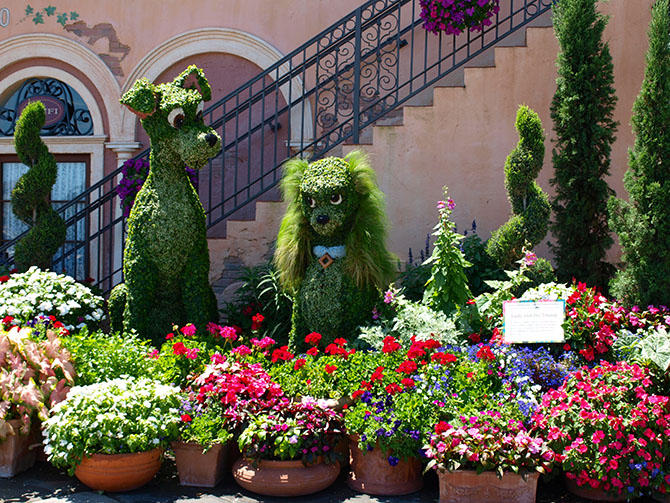 Lady Tramp topiary Epcot Flower Garden Festival