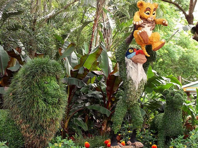 Lion King topiary Epcot Flower Garden Festival