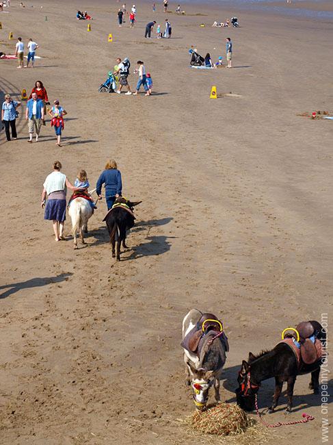 Old fashioned Donkey rides on Whitby beach in North Yorkshire