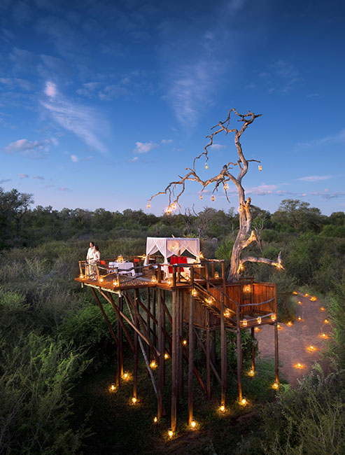 Lion Sands Chalkley Treehouse in South Africa. Unusual hotels around the world at OnePennyTourist.com
